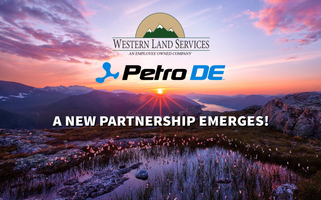 PetroDE partners with WLS